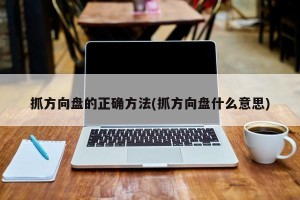 抓方向盘的正确方法(抓方向盘什么意思)